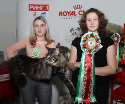 �������� ����� '������� ���-�����' 30 ������-1 ������� 2013�